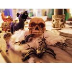 EUROPALMS Halloween Spinnennetz, weiß, 100g