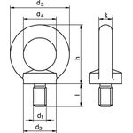 Ringschraube DIN 580 Gew.M10 STA C15 ZN - VPE: 50