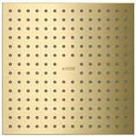 Kopfbrause 250/250 2jet AXOR Montage Decke-Aufputz brushed brass