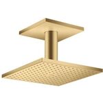 Kopfbrause 250/250 2jet AXOR Deckenmontage brushed gold optic