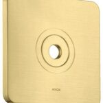 HG Wandplatte Wandmontage brushed brass