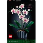 Creator ICONS Orchidee