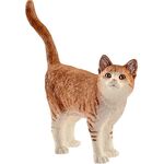 Katze