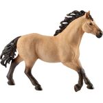 HC Quarter Horse Hengst