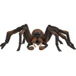 Aragog
