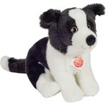Border Collie Welpe sitzend, ca. 25 cm