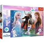 Pz.Disney Frozen 300T