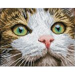DIAMOND DOTZ Katzenschönheit 27,7x35,5cm
