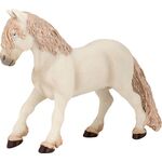 Elfenpony