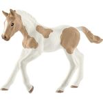 HC Paint Horse Fohlen