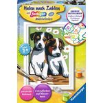 MnZ.Süße Welpen