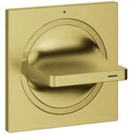 Grohe Oberbau ALLURE UP-Ventil cool sunrise gebürstet