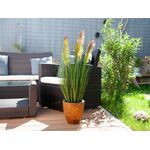 EUROPALMS Federgras, künstlich, rosé, 90cm