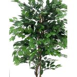 EUROPALMS Ficus-Benjamini Multi-Stamm, Kunstpflanze, 210cm