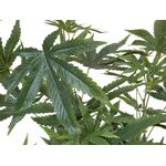 EUROPALMS Hanfpflanze, Kunstpflanze, 120cm