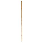 EUROPALMS Bambusrohr, Ø=3cm, 200cm