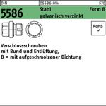 Verschlußschraube DIN 5586 FormB BG 1/2 A + Entlüftung Stahl gal Zn 50 Stück - VPE: 50