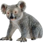 Koalabär