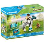Sammelpony "Lewitzer"
