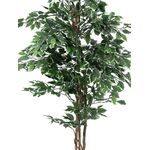 EUROPALMS Silberficus-Benjamini, Kunstpflanze,  180cm