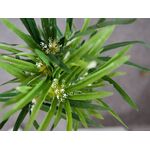 EUROPALMS Zyperngras, künstlich,76cm