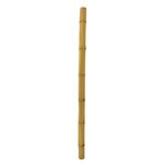 EUROPALMS Bambusrohr, Ø=12cm, 200cm