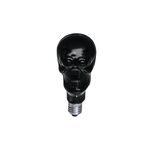 OMNILUX UV Totenkopf 230V/75W E-27 80mm