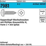 Kappenkopfblechschraube R 88981 PH 3,9x 32-H A 2 500 Stück - VPE: 500