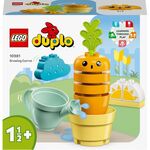 Duplo Wachsende Karotte