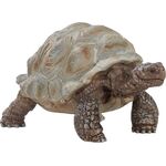 Riesenschildkröte