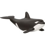 Orka Junges