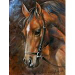 Diamond Painting Pferd 40x30 cm