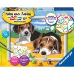 MnZ.Jack Russel Welpen