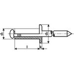 Blindniet Nietschaft dxl 6,4x12,0mm Stahl/Stahl 250 St.GESIPA - VPE: 250