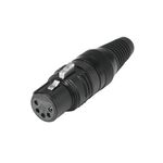 HICON XLR Buchse 5pol HI-X5CF-G