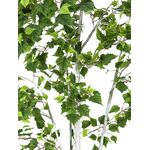 EUROPALMS Birkenbaum, Kunstpflanze, 210cm