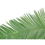 EUROPALMS Kokos-Königspalmwedel, künstlich, 180cm
