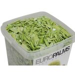 EUROPALMS Deko-Holz, limette, 5,5l Eimer