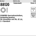 Sperrzahnscheibe R 88120 beids.gez. S 6x10x0,7 Federstahl 1000St. SCHNORR - VPE: 1000