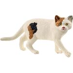 Amerikanische Kurzhaarkatze