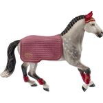 Trakehner Stute Reitturnier