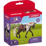 Rocky Mountain Horse Stute Pferdeshow
