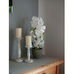 EUROPALMS Orchidee, Kunstpflanze, weiß, 80cm