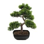 EUROPALMS Bonsai-Pinie, Kunstpflanze, 50cm