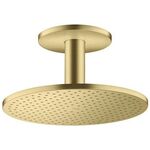 Kopfbrause 300 2jet AXOR Deckenmontage brushed brass