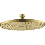 Tellerkopfbrause 240 1jet AXOR STARCK DN 15 brushed brass