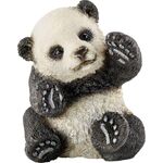 Panda Junges, spielend