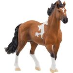 Mangalarga Marchador Hengst