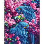 DIAMOND DOTZ Papagei 42x52 cm