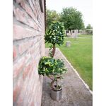 EUROPALMS Ficus Multi Spiralstamm, Kunstpflanze, 160cm